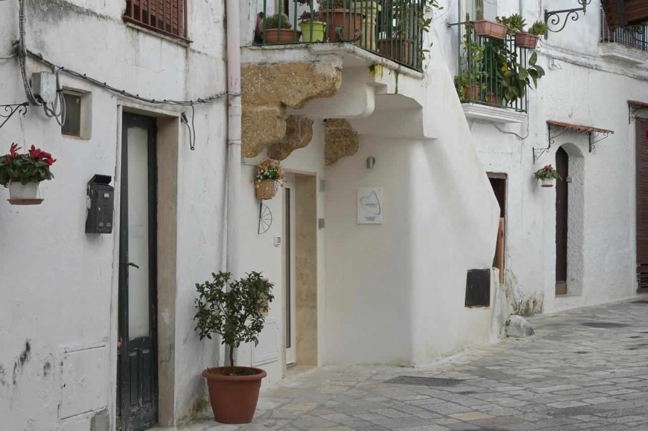 Castrum Casa Vacanza Мезанье Экстерьер фото
